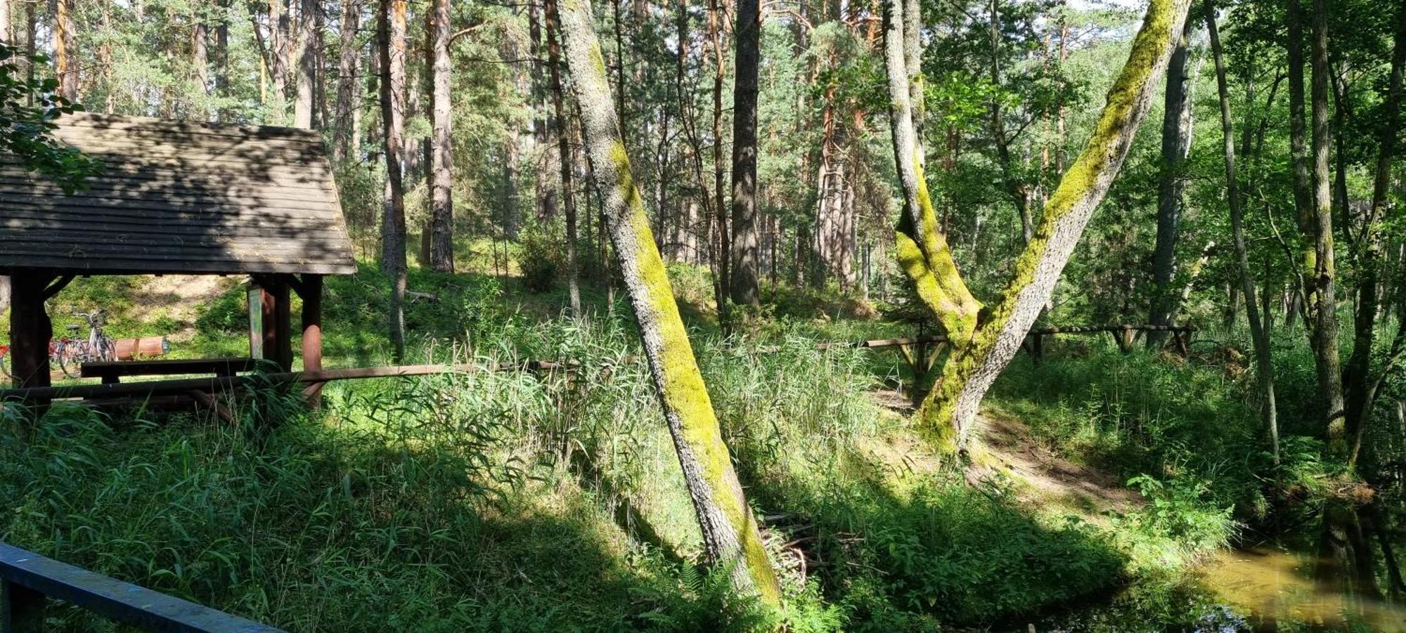 スヲーネガシエ Osrodek Wypoczynkowy Soszkoヴィラ エクステリア 写真